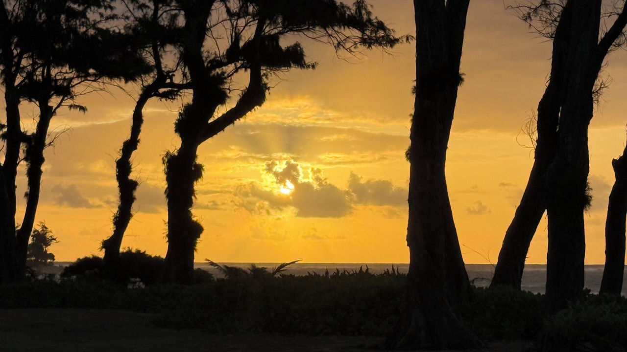Photo of Others in Wailua