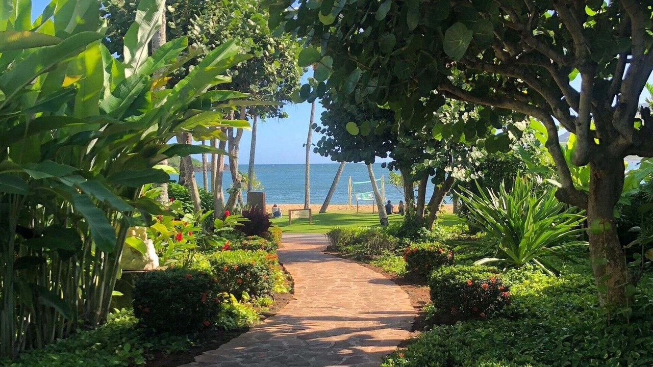 Photo of Outdoor in Lihue