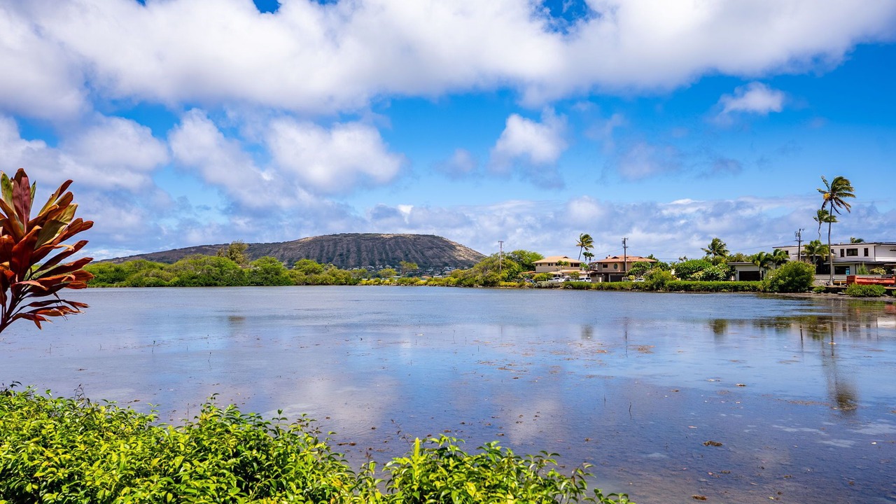 Photo of Others in Eastern Honolulu