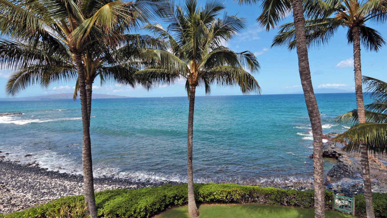 Photo of Others in Wailea