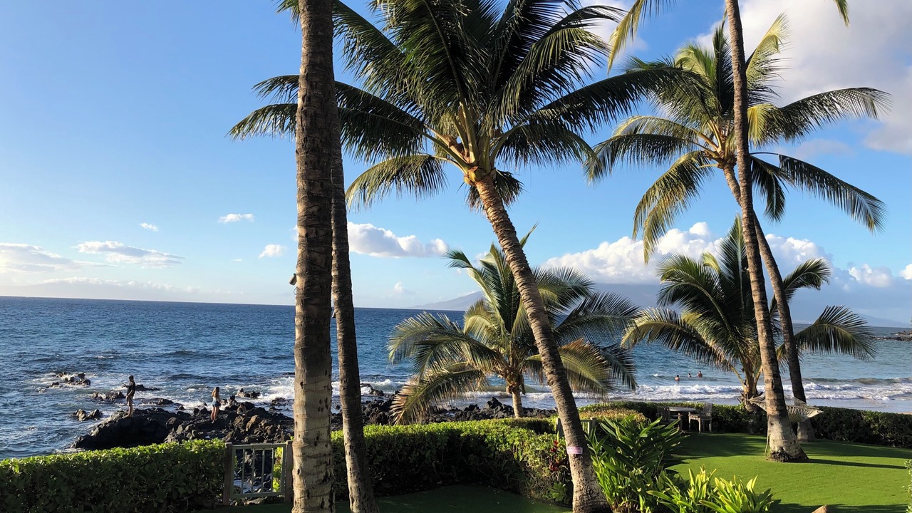 Photo of Outdoor in Wailea