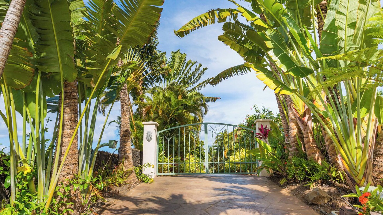 Photo of Outdoor in Wailea