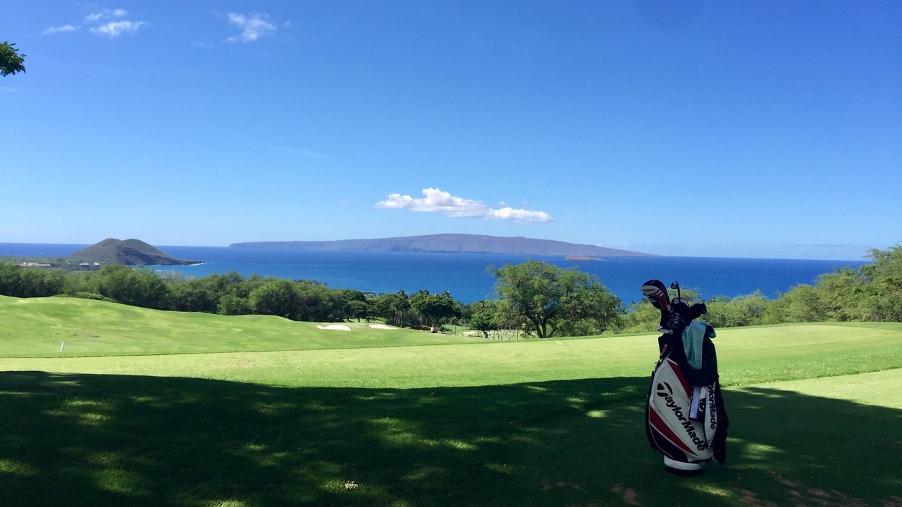 Photo of Others in Wailea