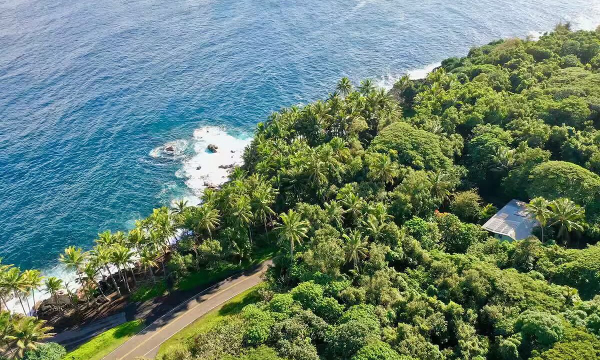 Photo of Outdoor in Pahoa