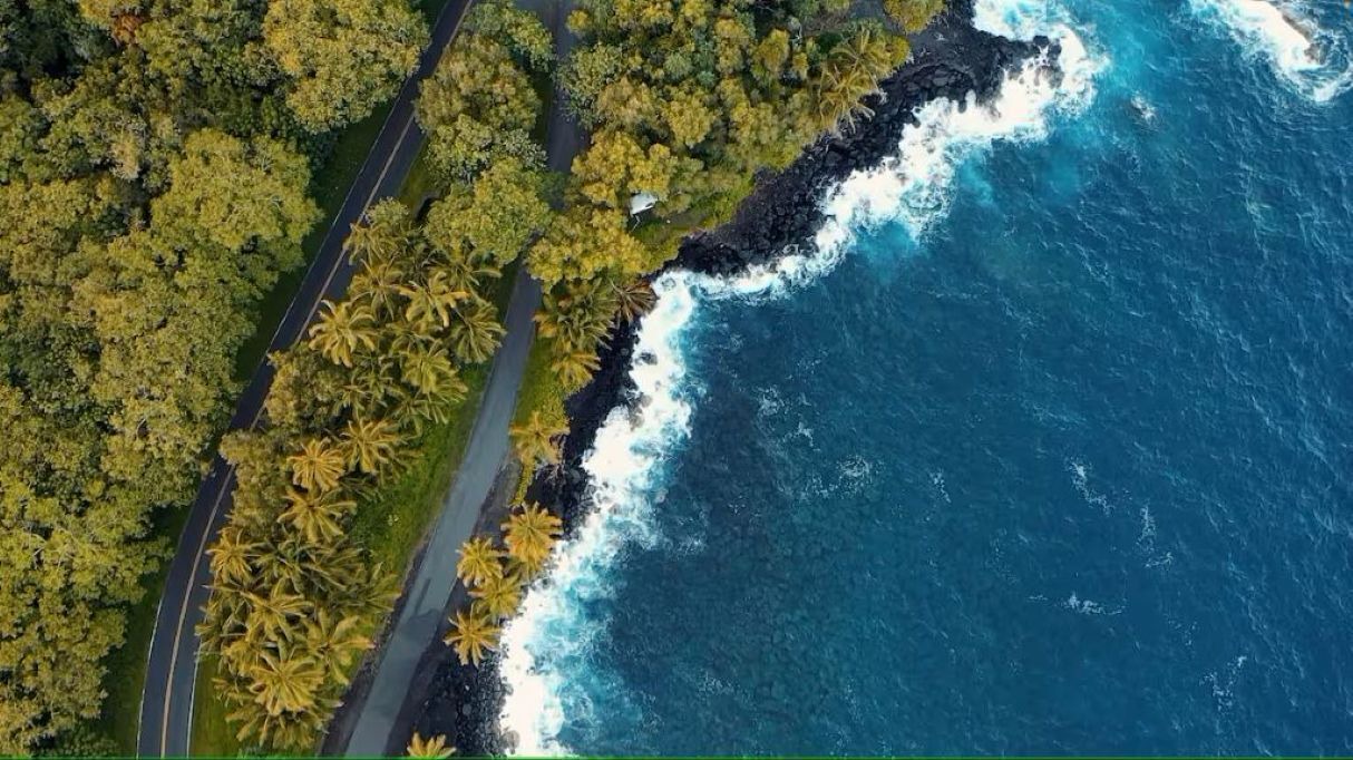 Photo of Outdoor in Pahoa