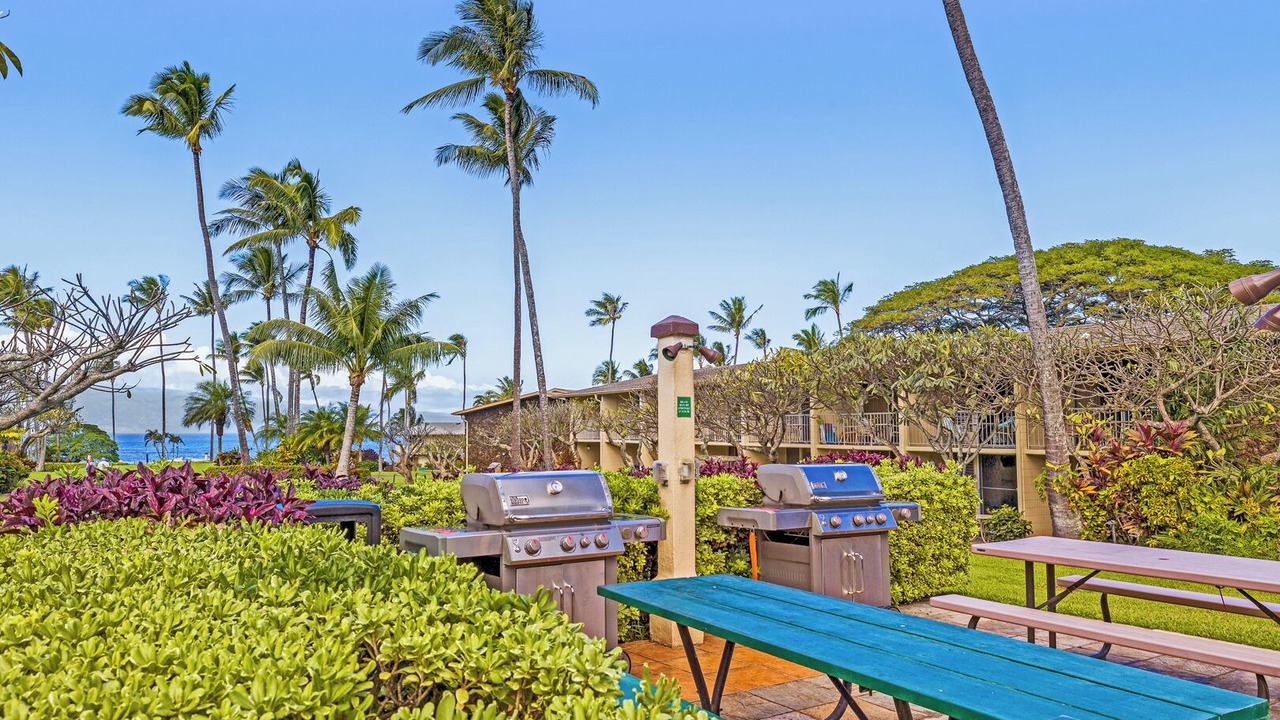Photo of Outdoor in Napili