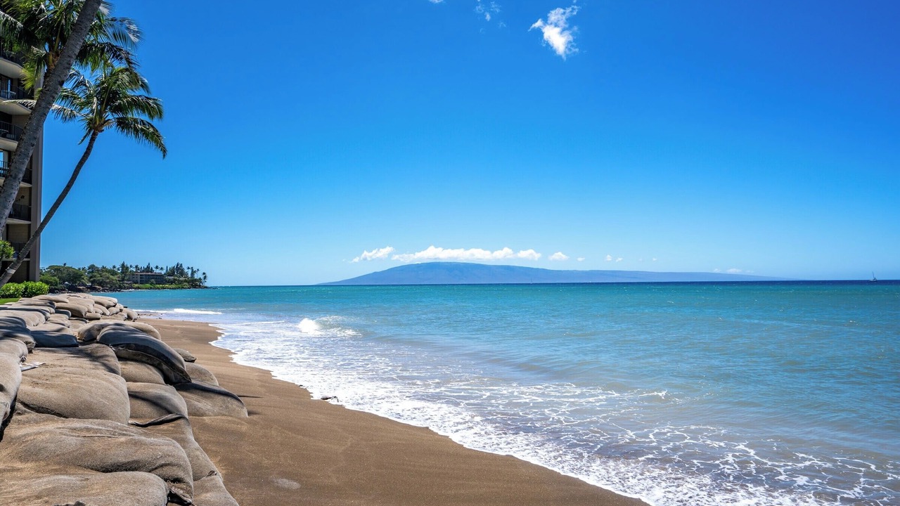 Photo of Others in Kahana