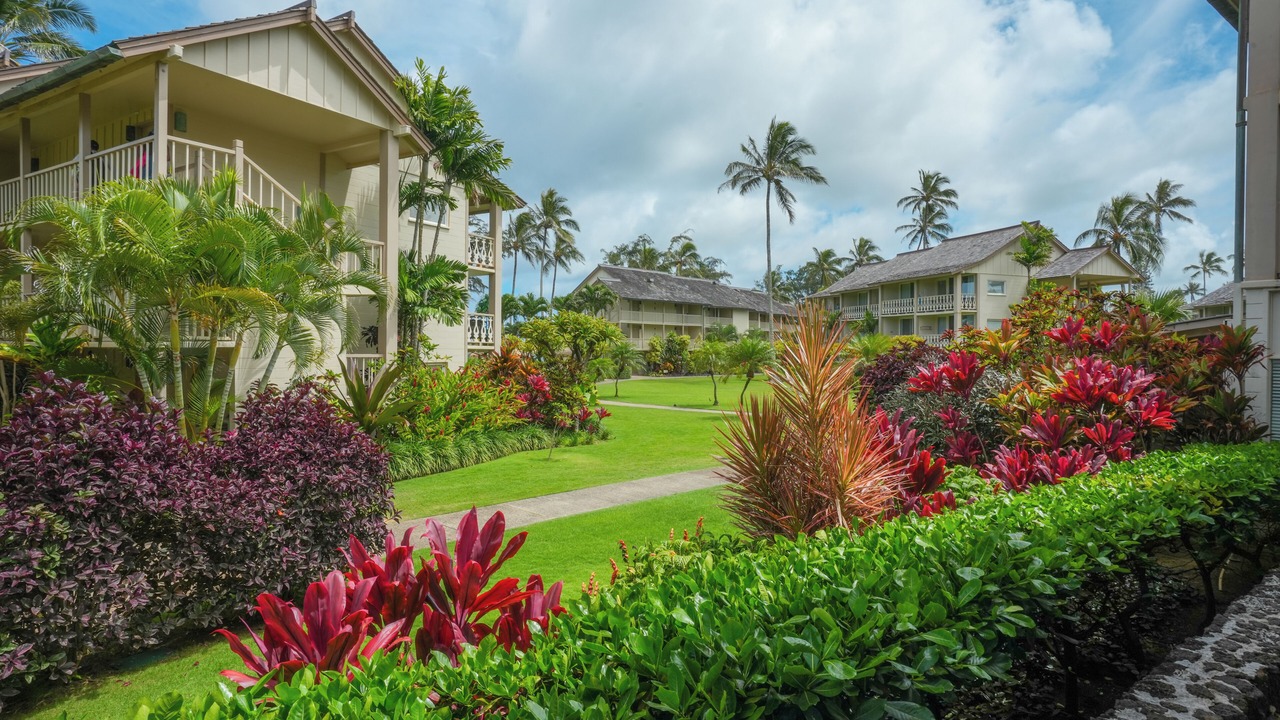 Photo of Outdoor in Wailua