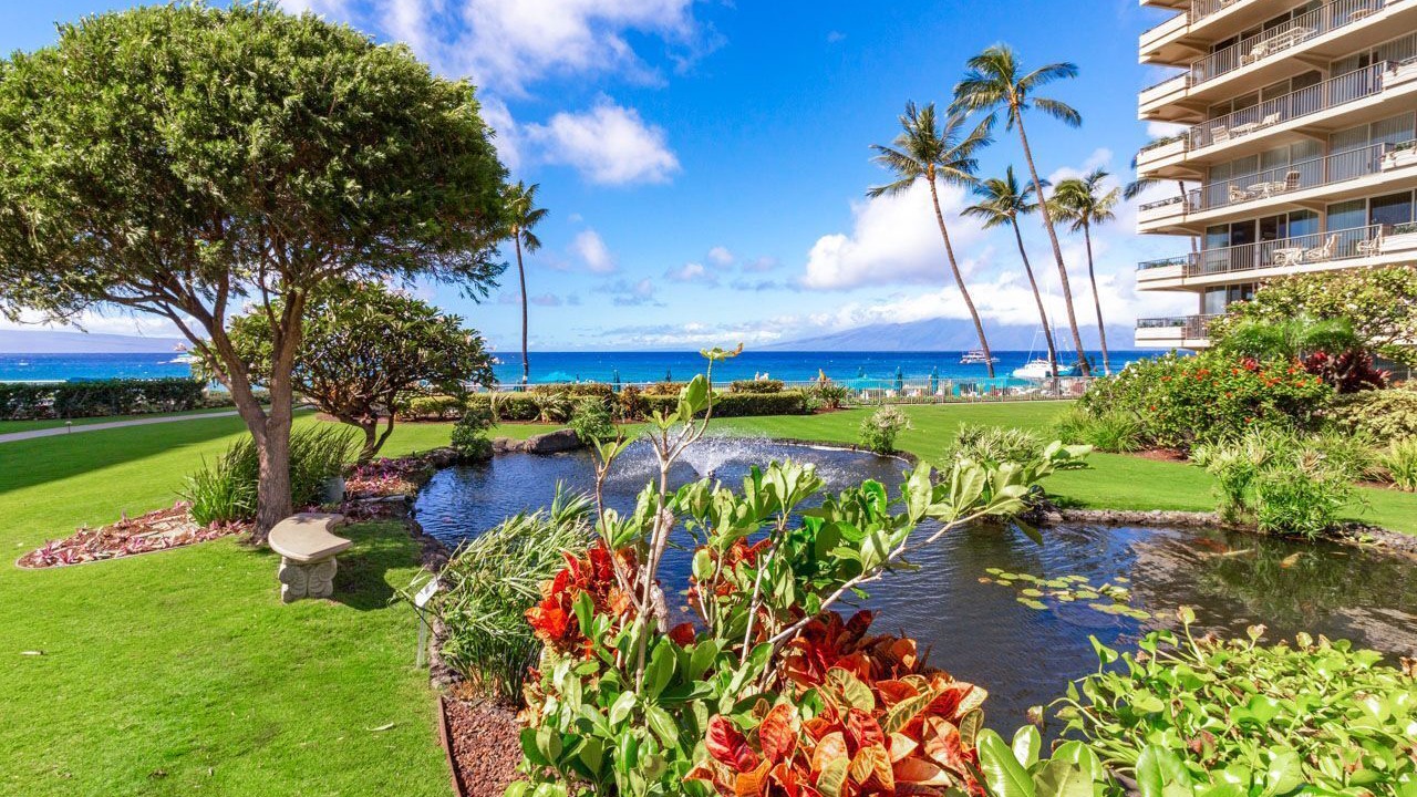 Photo of Others in Kaanapali