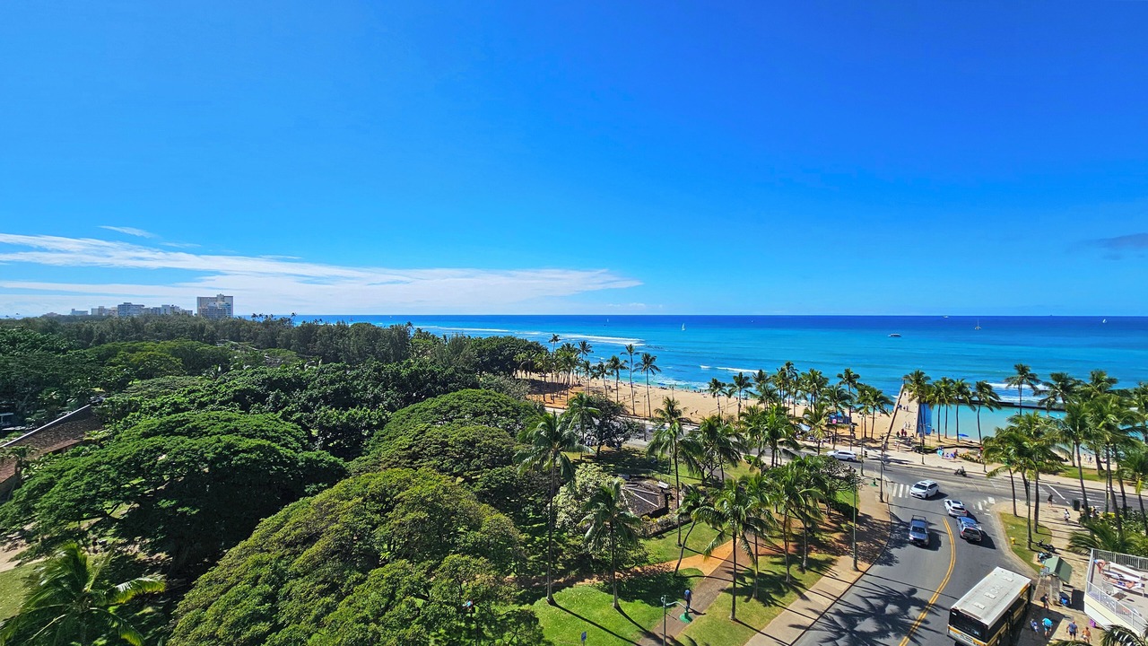 Photo of Others in Waikiki