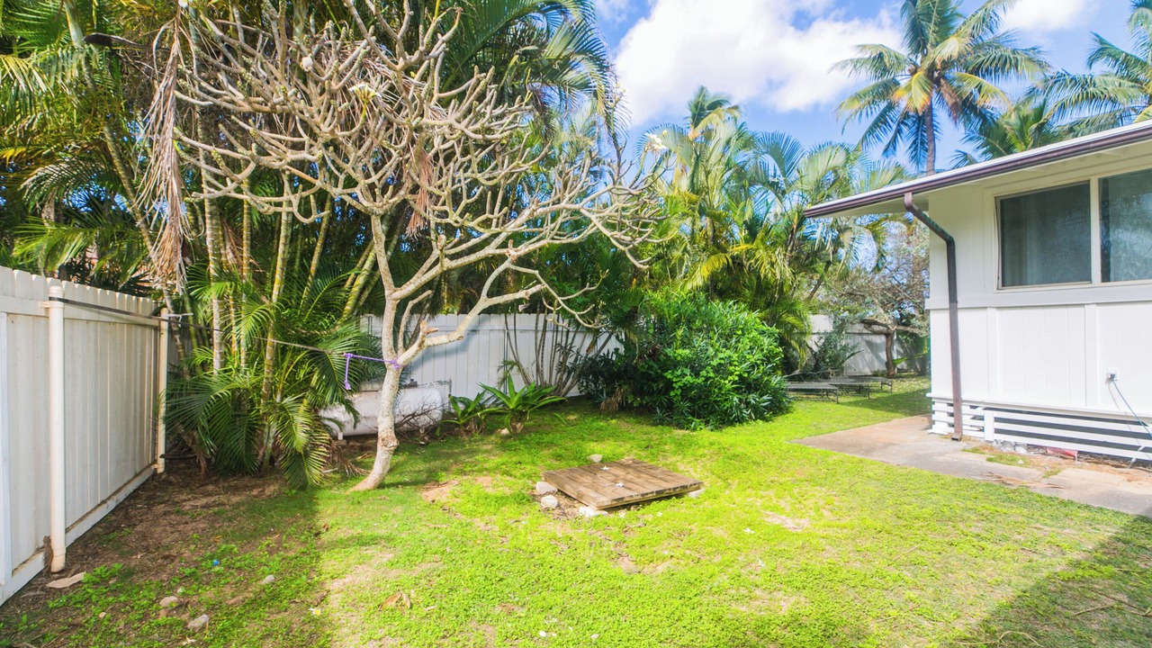 Photo of Outdoor in Waialua