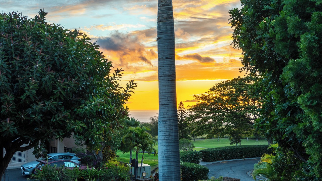 Photo of Outdoor in Waikoloa Village