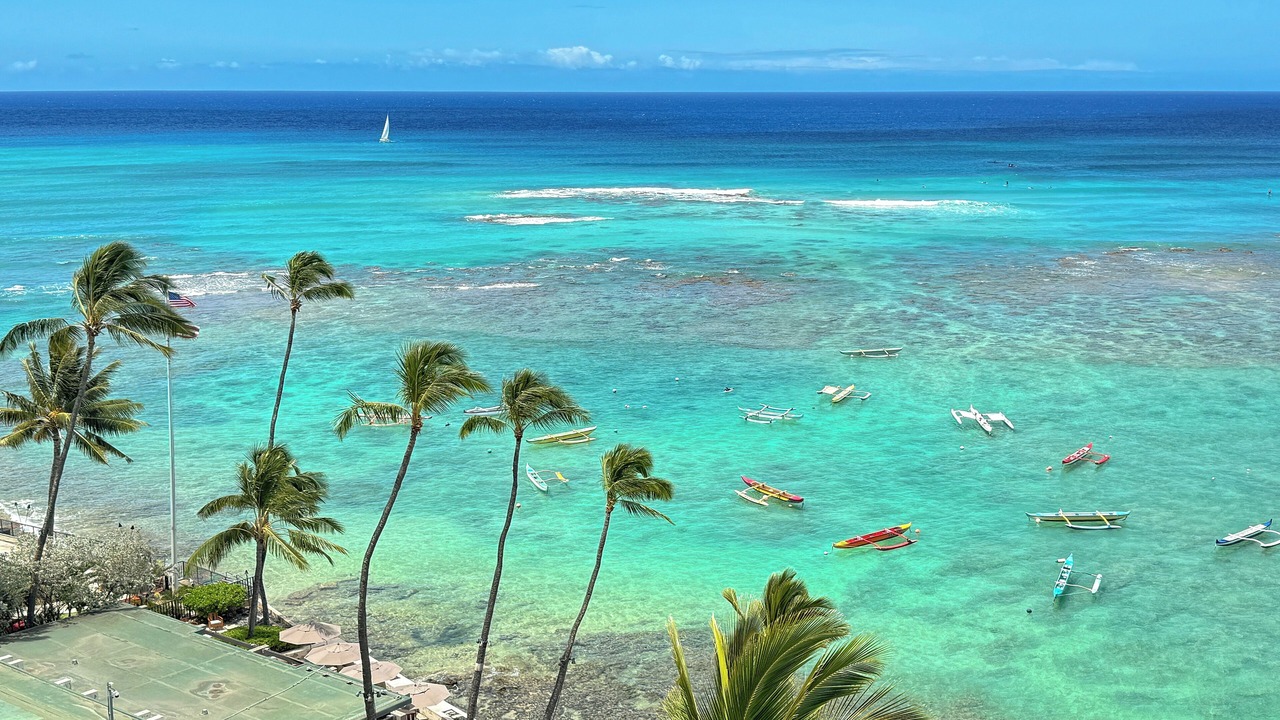 Photo of Others in Diamond Head - Kapahulu - St. Louis