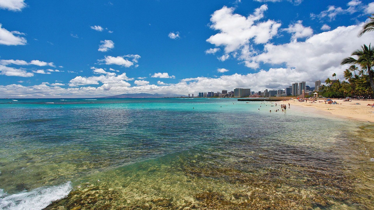 Photo of Others in Diamond Head - Kapahulu - St. Louis