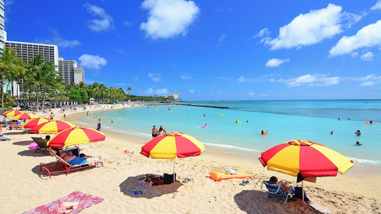 Photo of Others in Diamond Head - Kapahulu - St. Louis