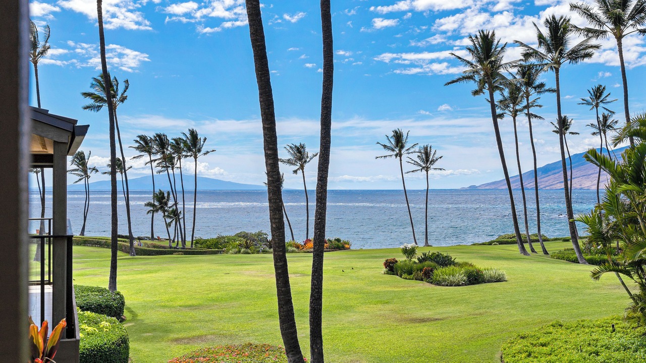 Photo of Outdoor in Wailea