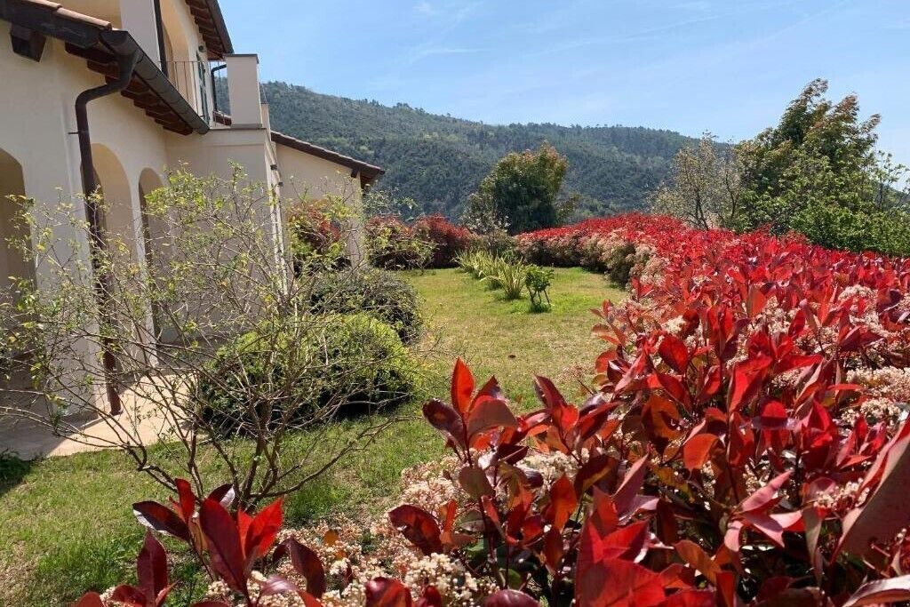 Photo of Outdoor in Vallebona