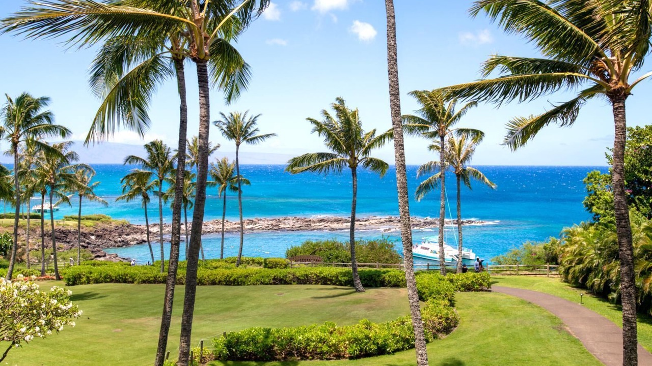 Photo of Outdoor in Napili