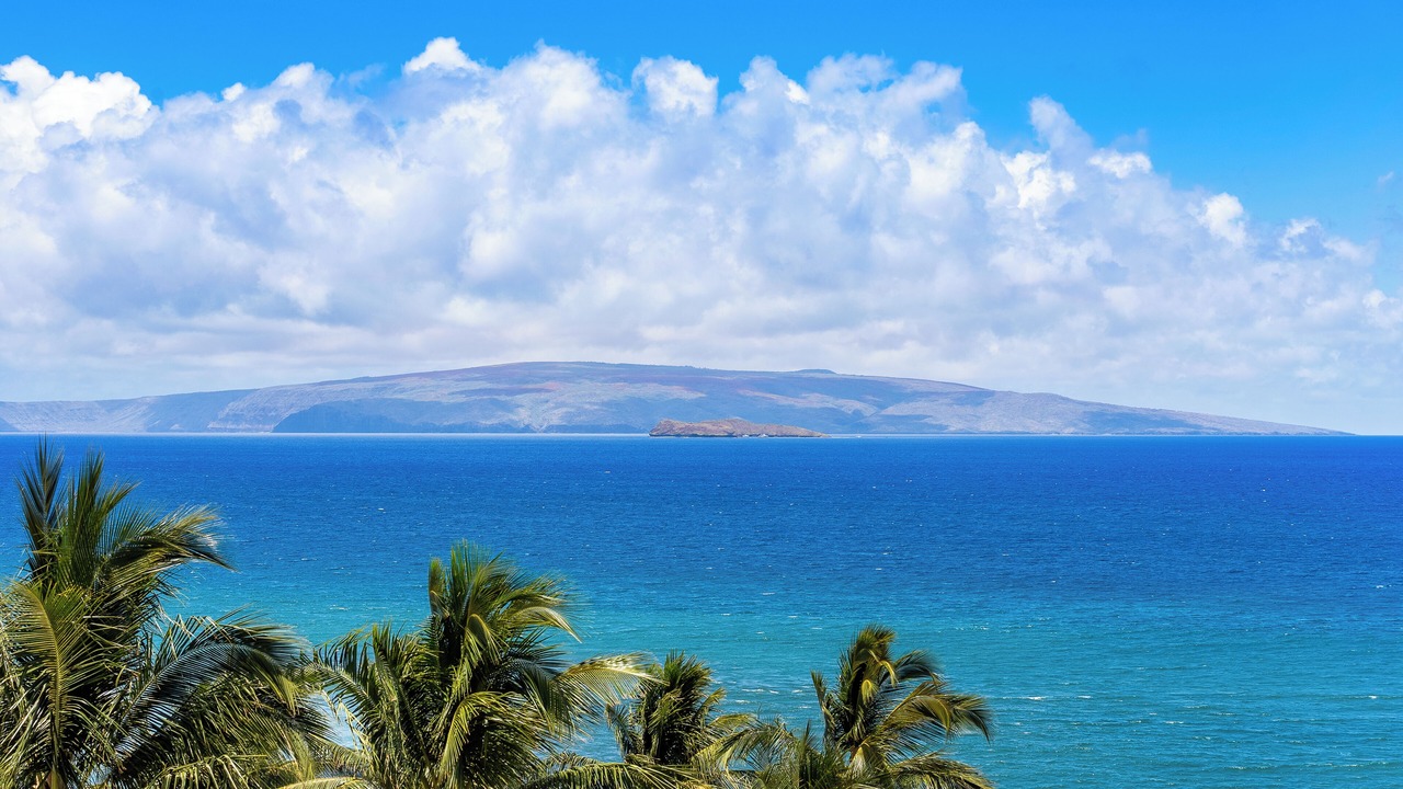Photo of Others in Wailea