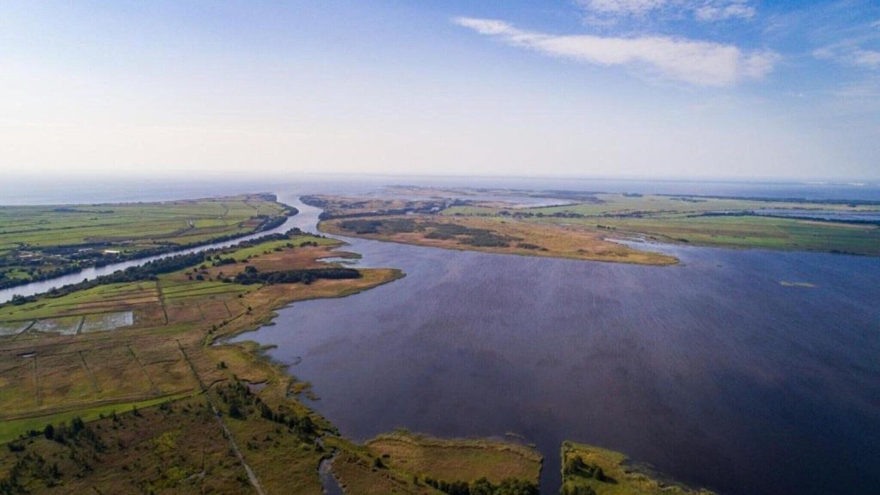 Photo of Others in Grou