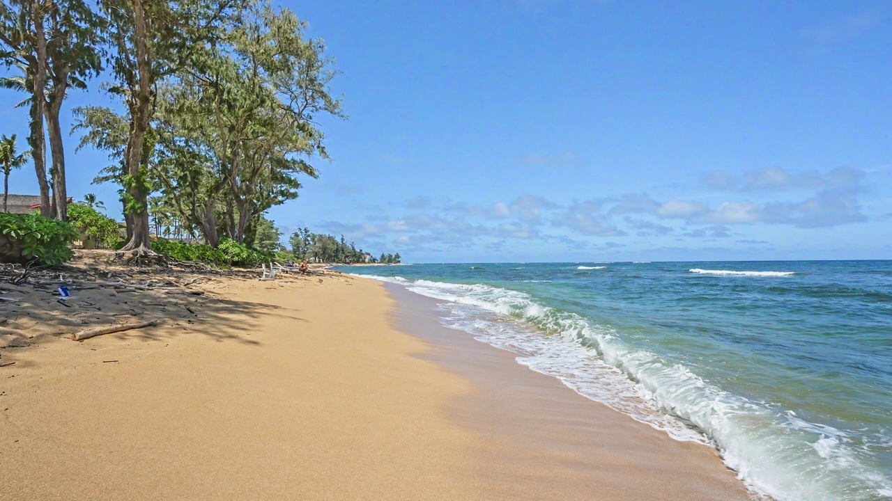 Photo of Others in Wailua