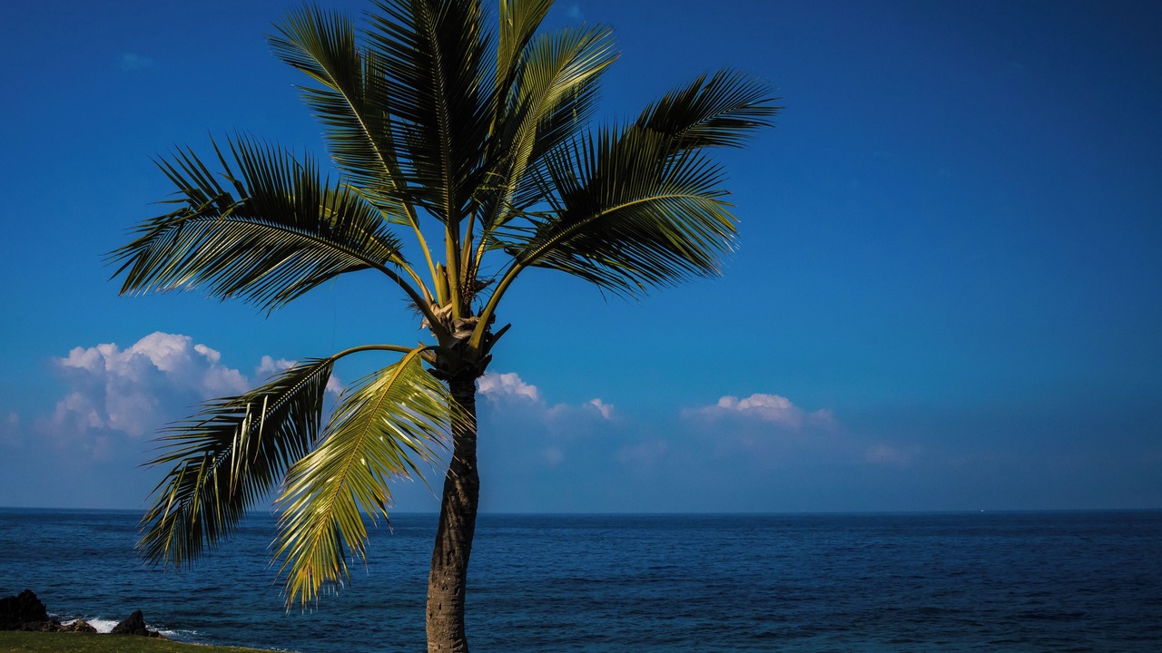 Photo of Others in Keauhou