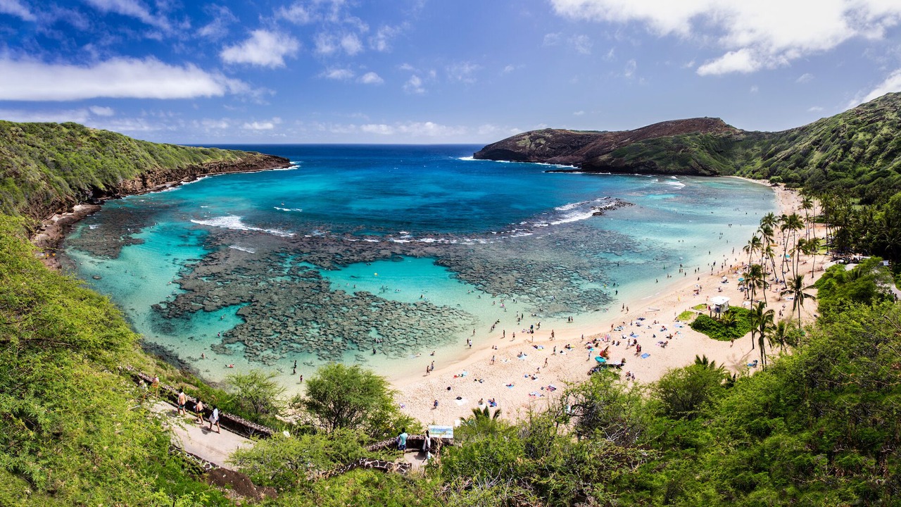 Photo of Others in Waikiki