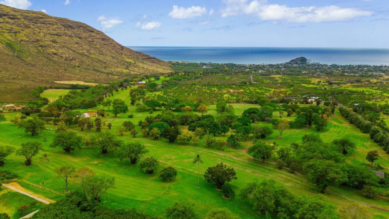 Photo of Others in Makaha Valley