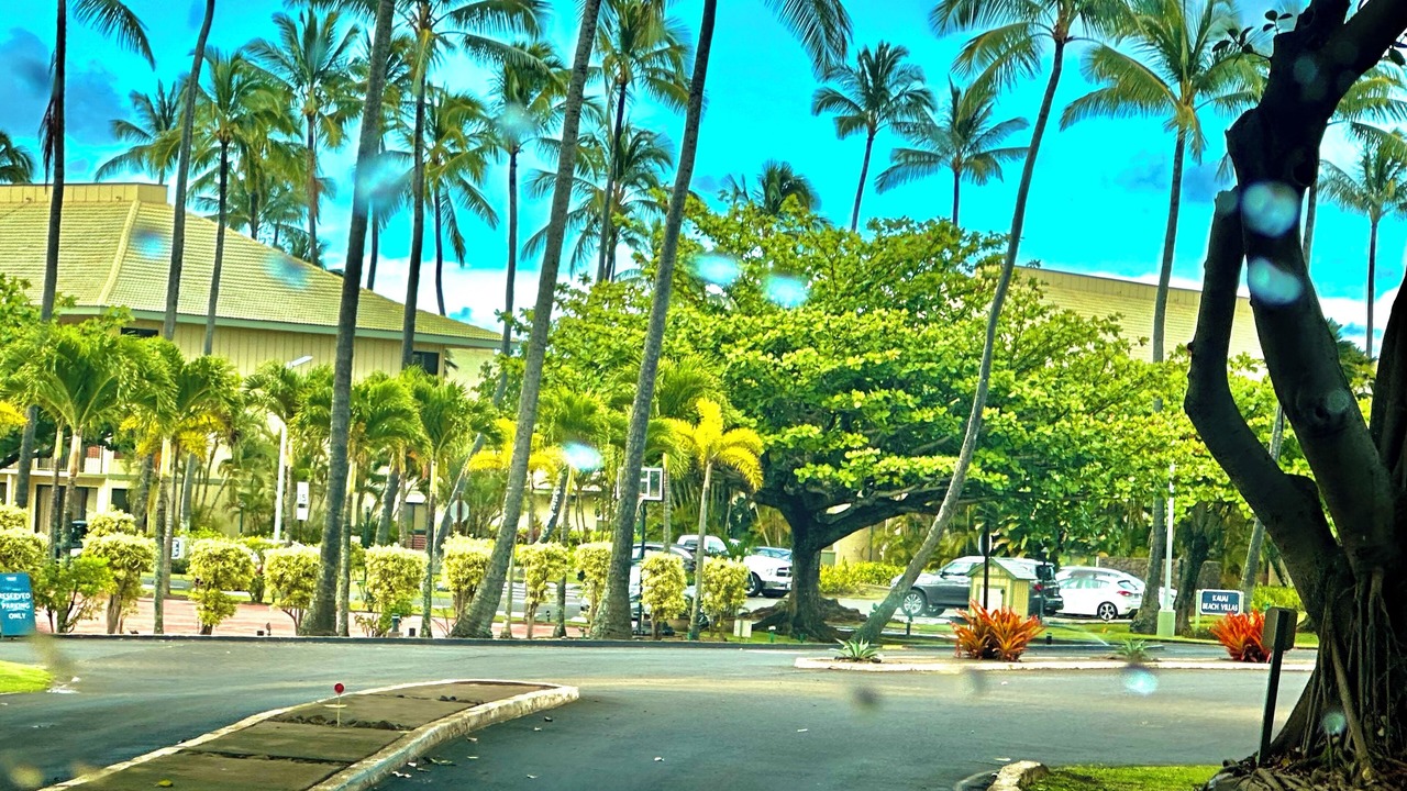 Photo of Outdoor in Hanamaulu