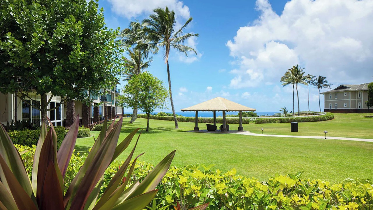 Photo of Outdoor in Princeville