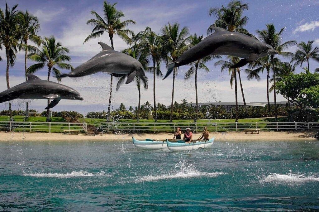 Photo of Others in Waikoloa