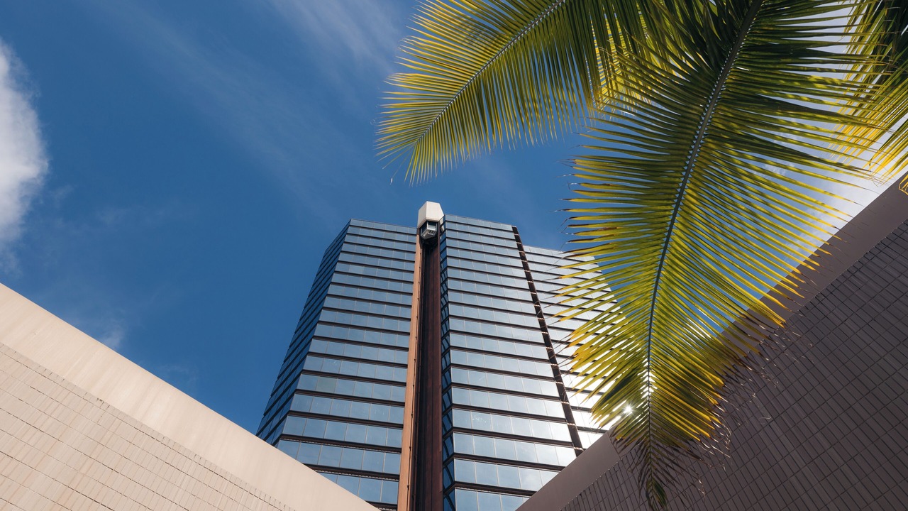 Photo of Outdoor in Downtown Honolulu