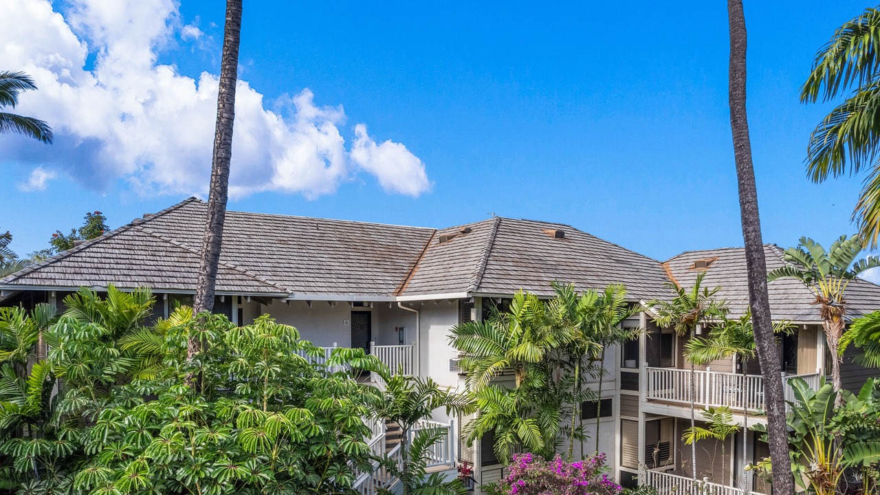 Photo of Outdoor in Wailea