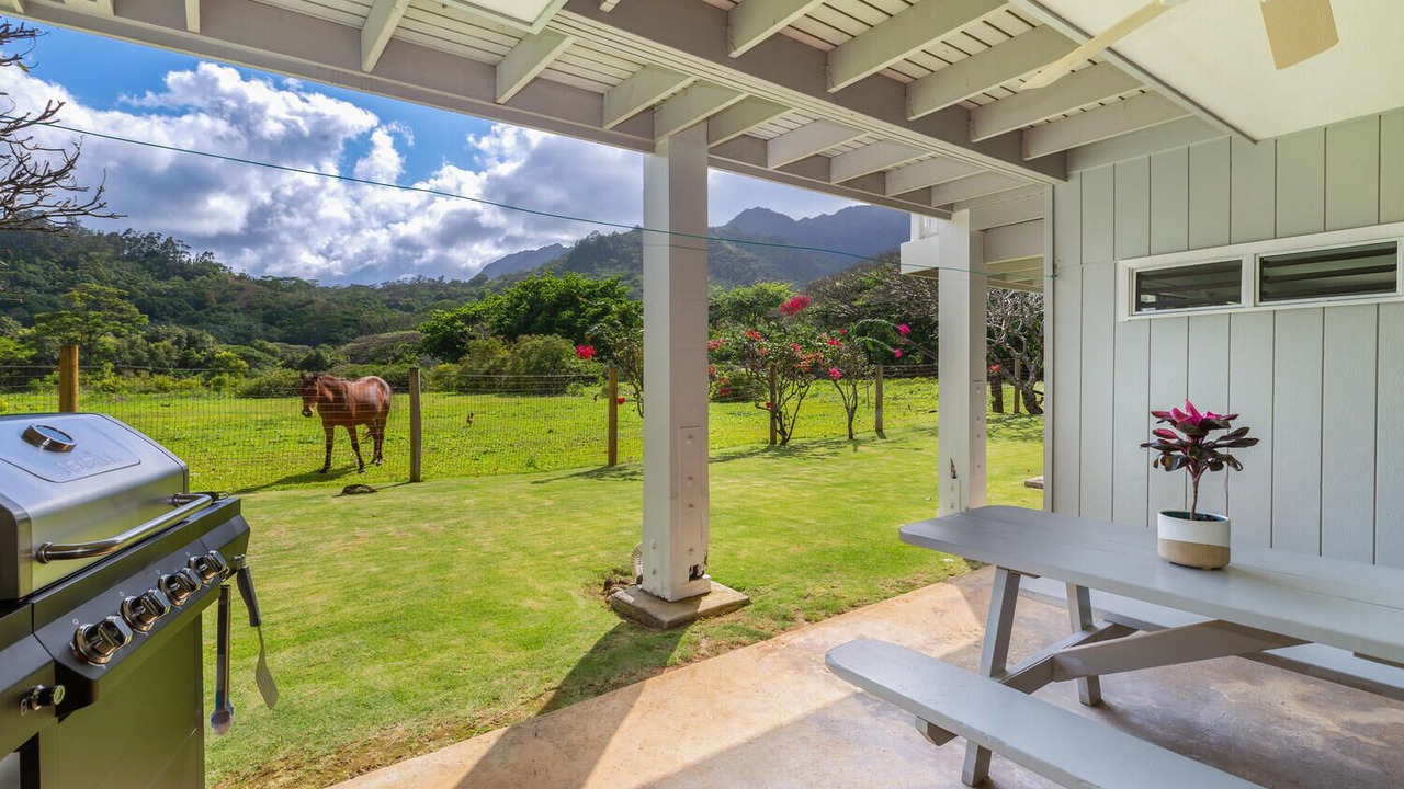 Photo of Others in Wainiha