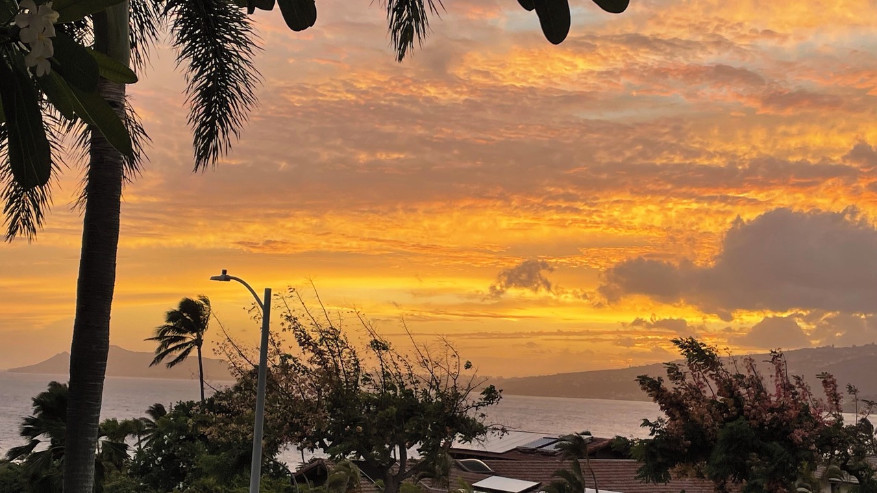 Photo of Others in Hawaii Kai