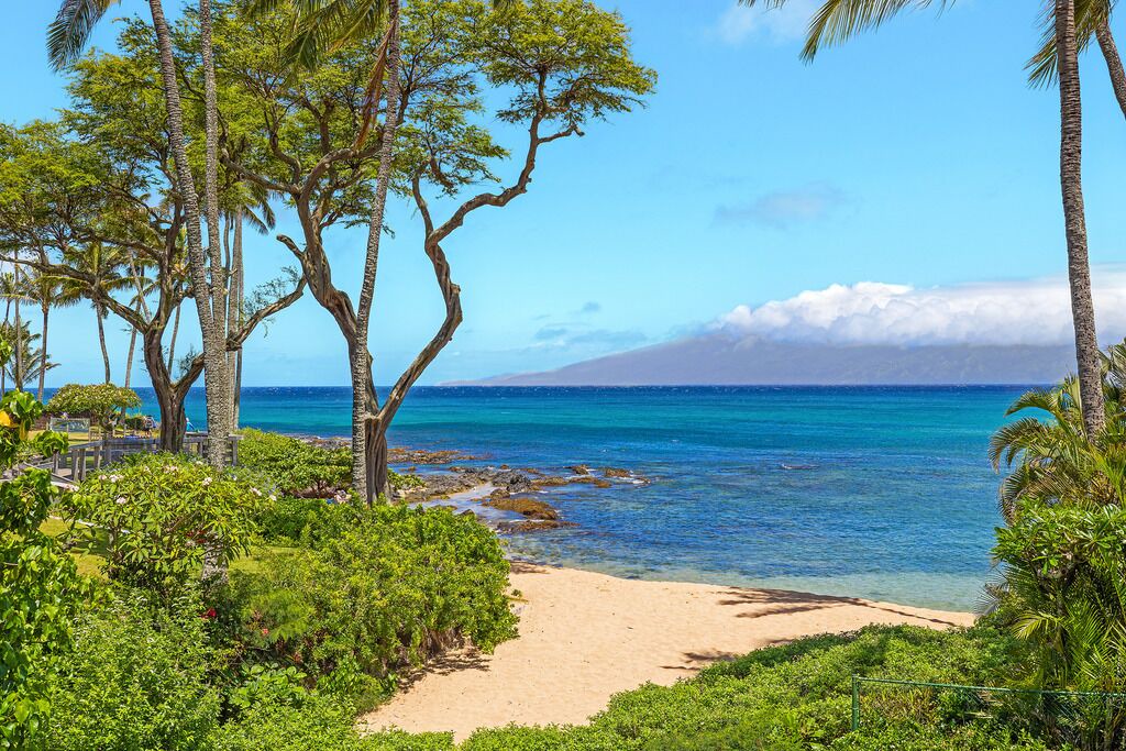 Photo of Others in Napili