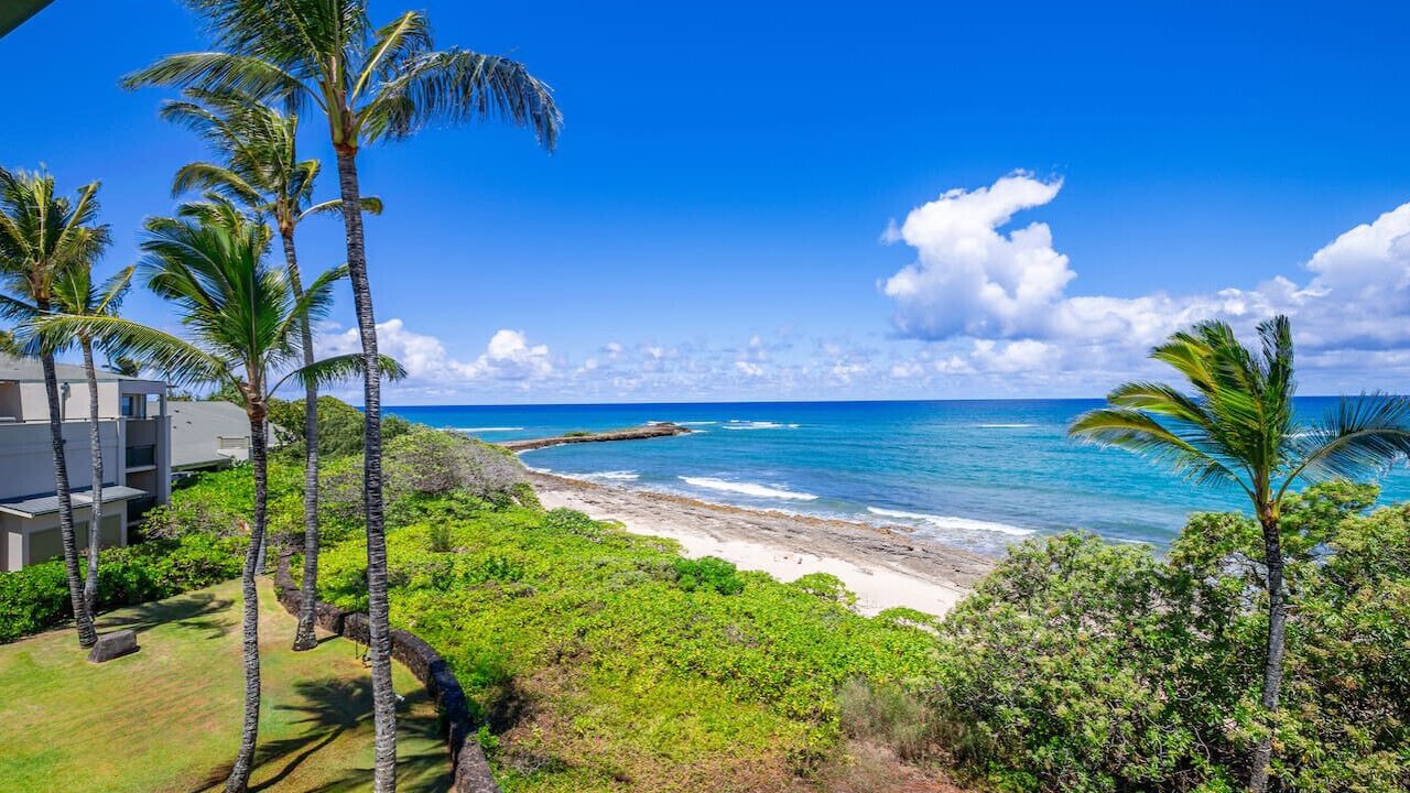 Photo of Others in Kahuku