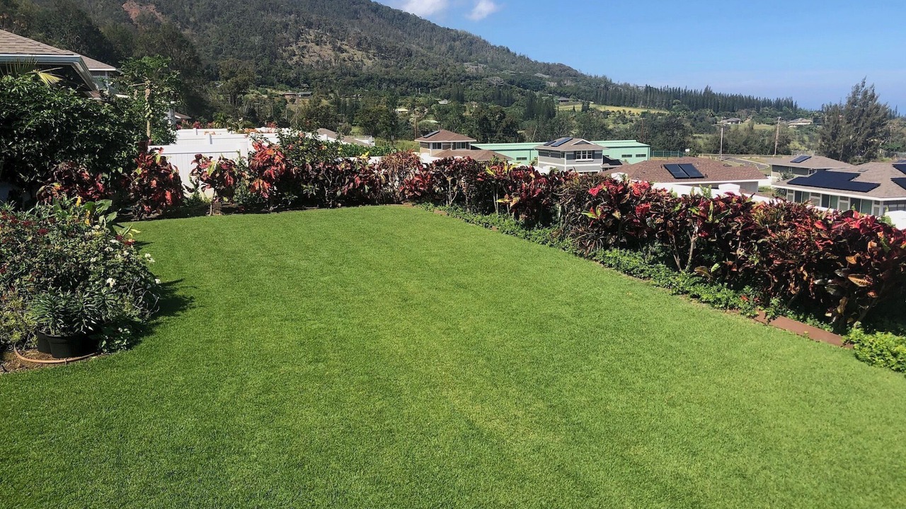 Photo of Outdoor in Wailuku Heights