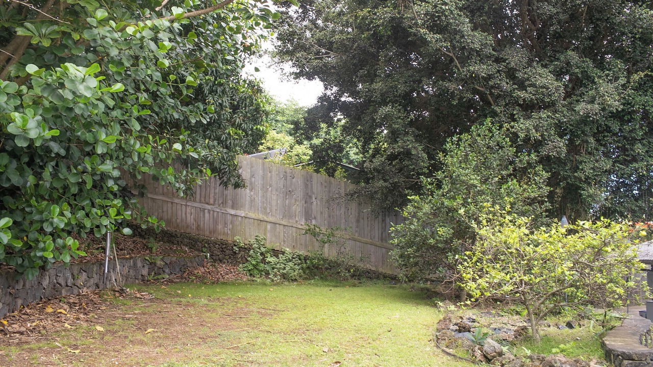 Photo of Outdoor in Kailua-Kona