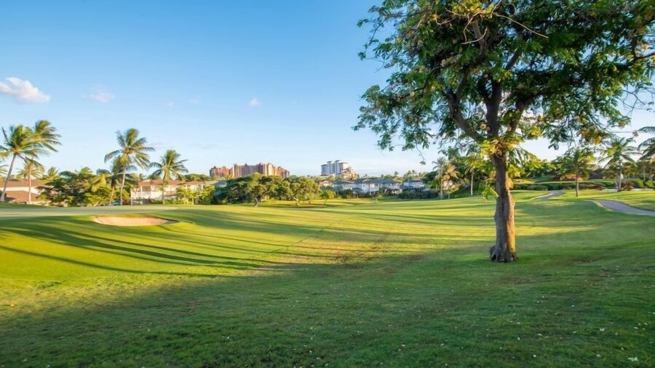 Photo of Others in Ko Olina