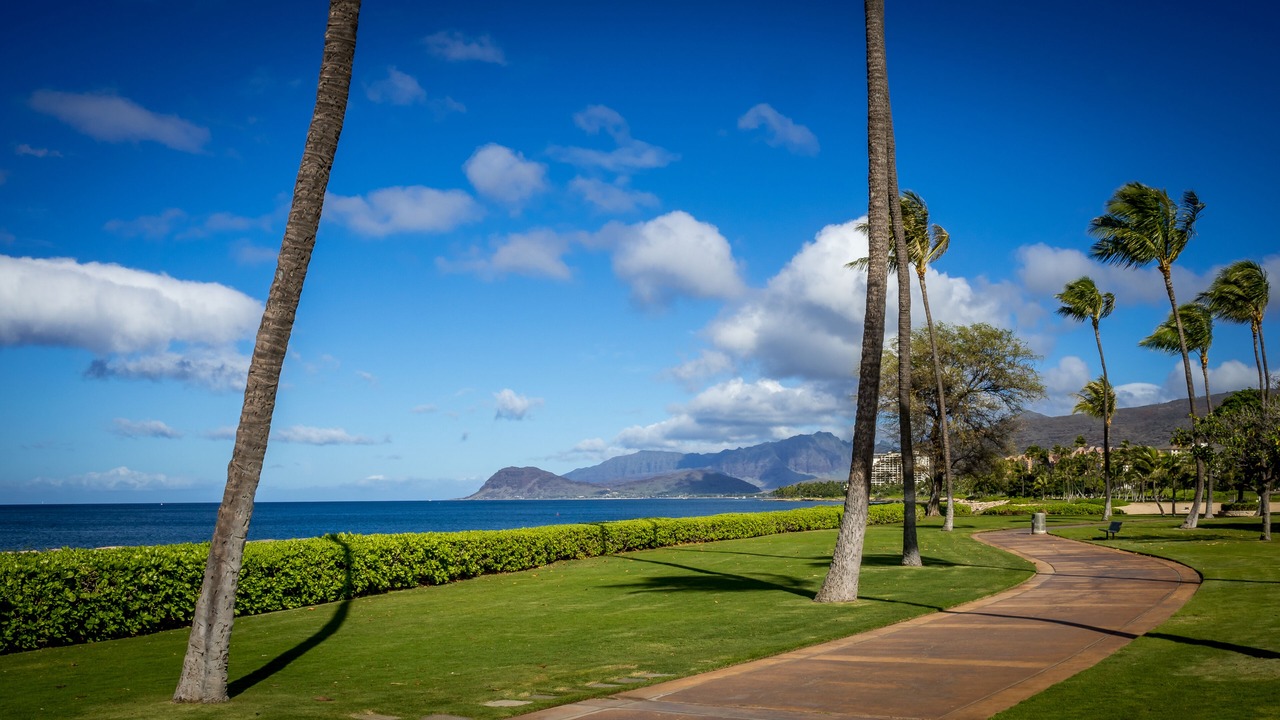 Photo of Others in Ko Olina