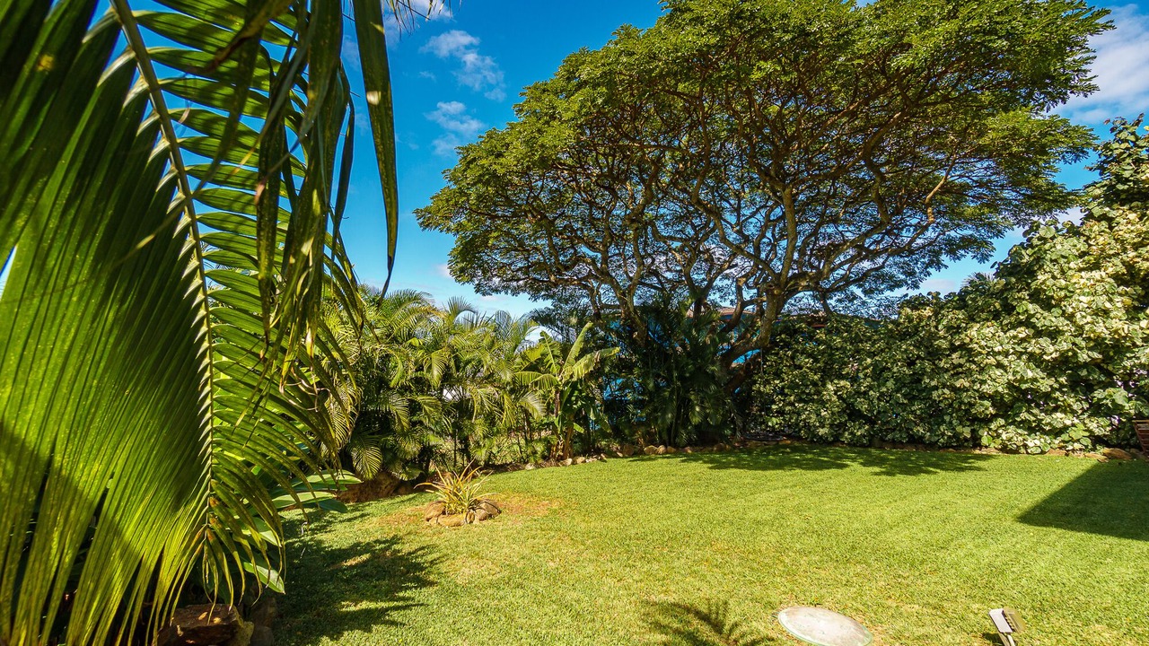 Photo of Outdoor in Waialee