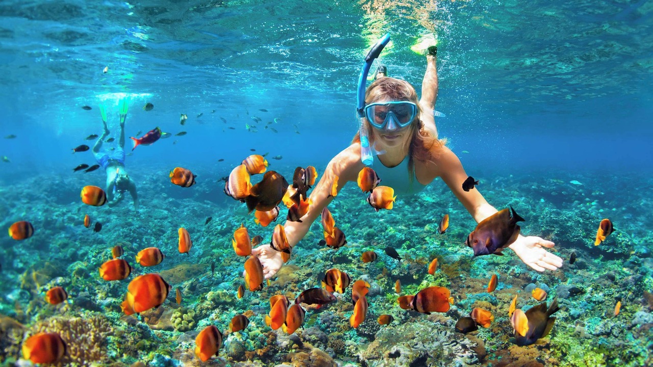 Photo of Others in Napili