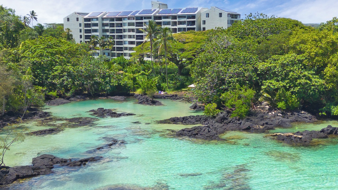 Photo of Others in Hilo