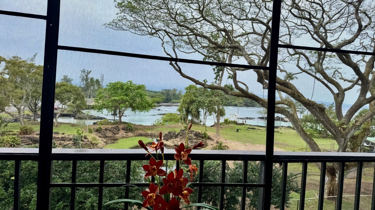 Photo of Others in Hilo