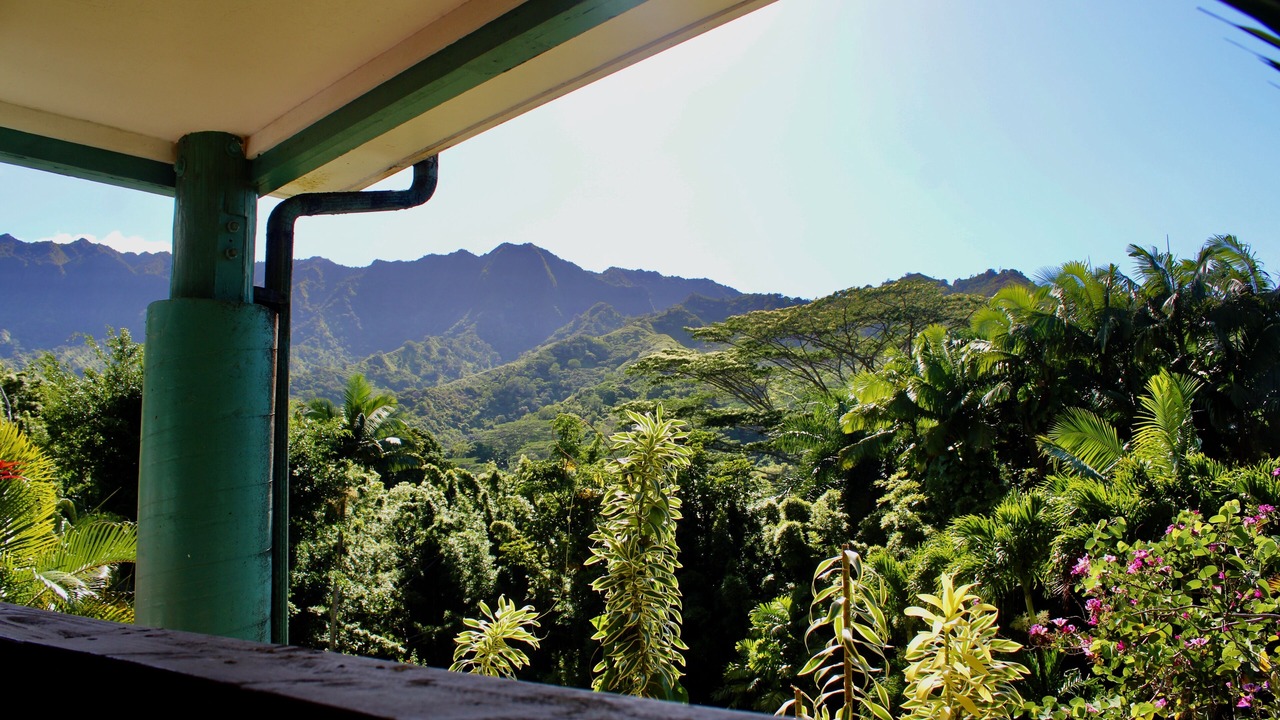 Photo of Outdoor in Wainiha