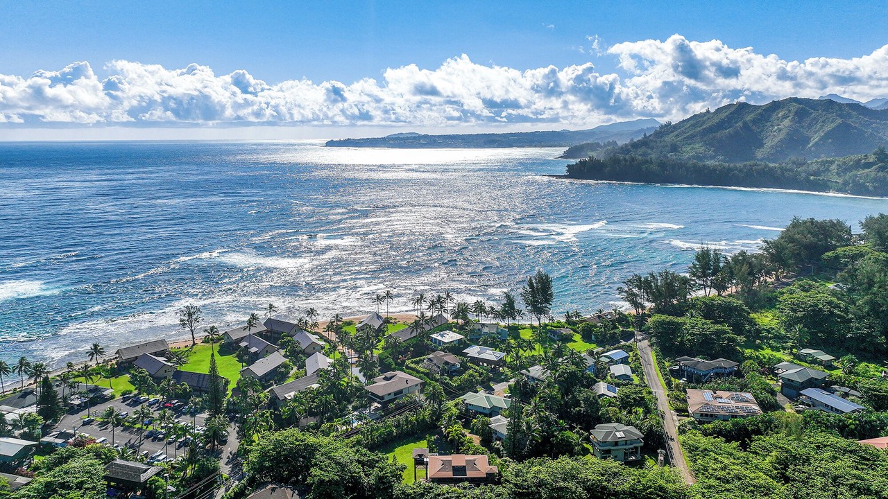 Photo of Outdoor in Wainiha