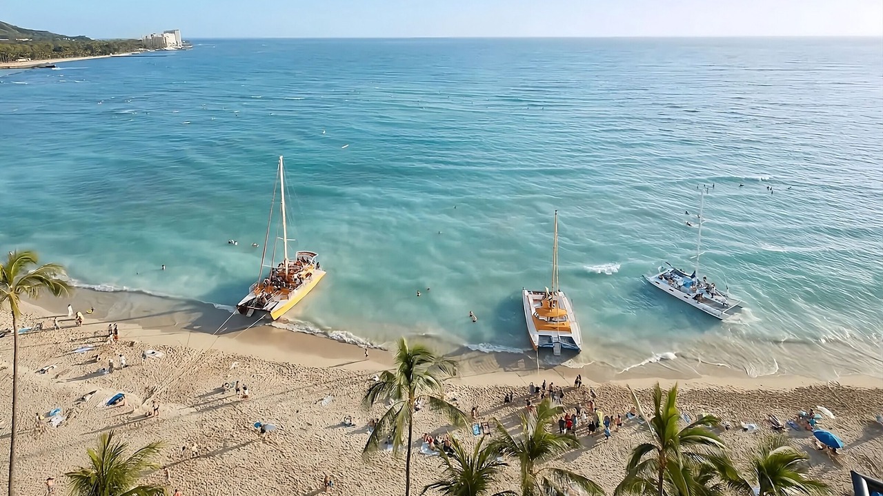 Photo of Others in Waikiki