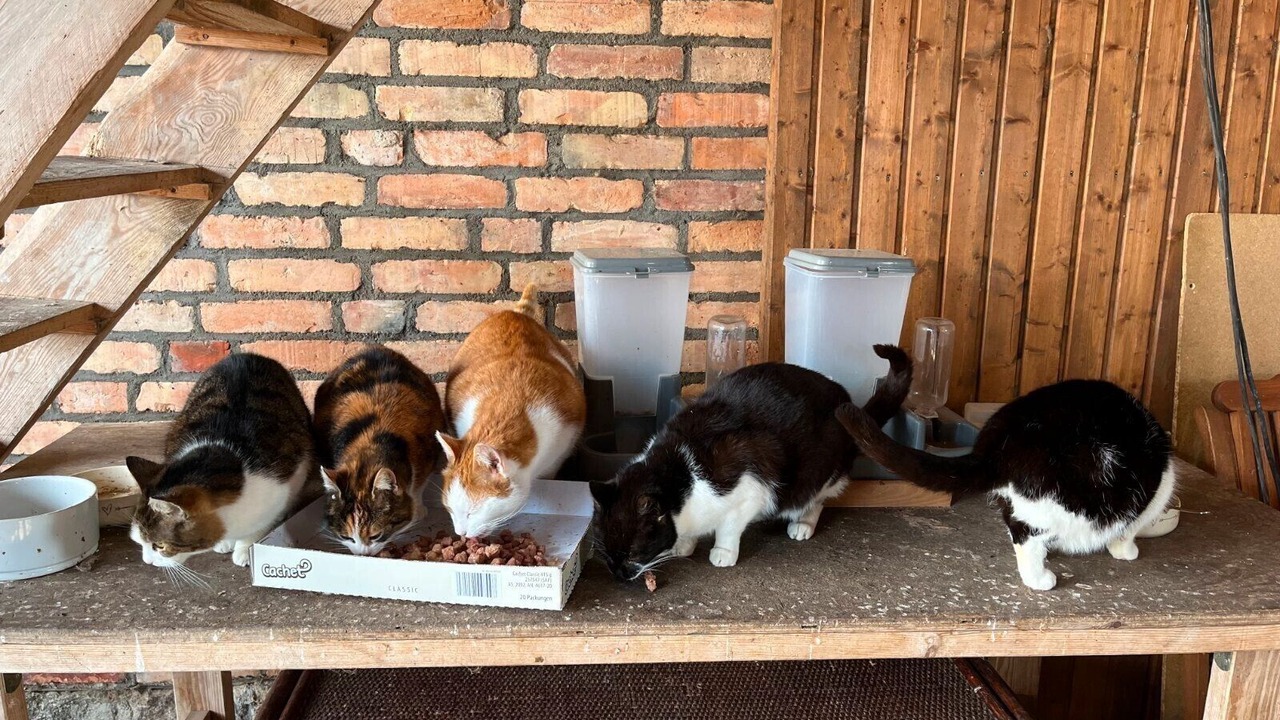 Photo of Others in Verchen