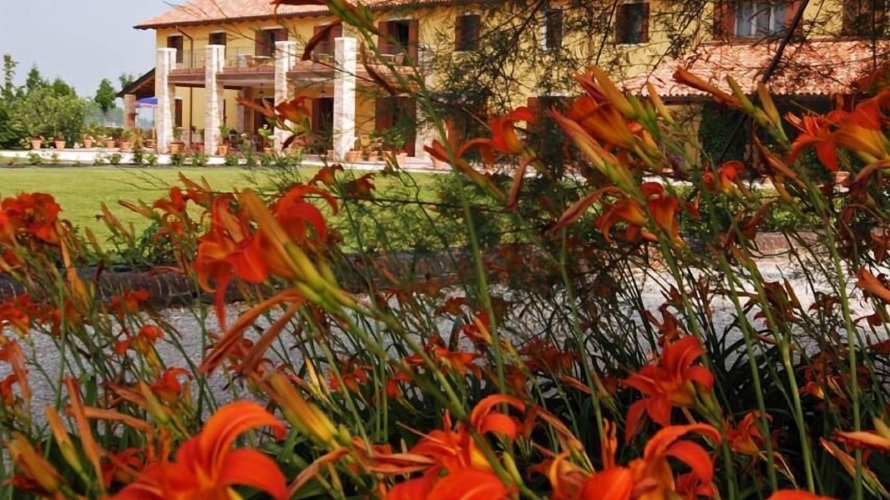 Photo of Outdoor in Palazzolo dello Stella